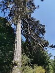 IMG_20210818_121347