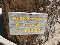 IMG_20210818_121426