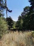 IMG_20210818_121400