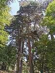 IMG_20210818_122615