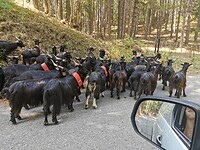 IMG_20210818_134207