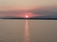 IMG_20210819_193218