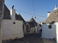 IMG_20210821_175705