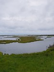 20170809_155305