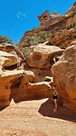 Grand Wash Trail