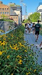 High Line Park