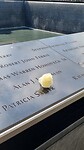 9/11 Memorial