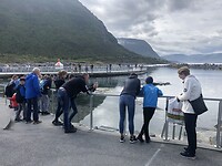 Atlanterhavsparken Ålesund
