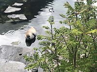 Atlanterhavsparken Ålesund