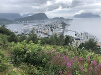 Uitzicht vanaf Aksla Viewpoint op Ålesund