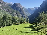 Stalheim