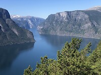 Aurlandsfjord
