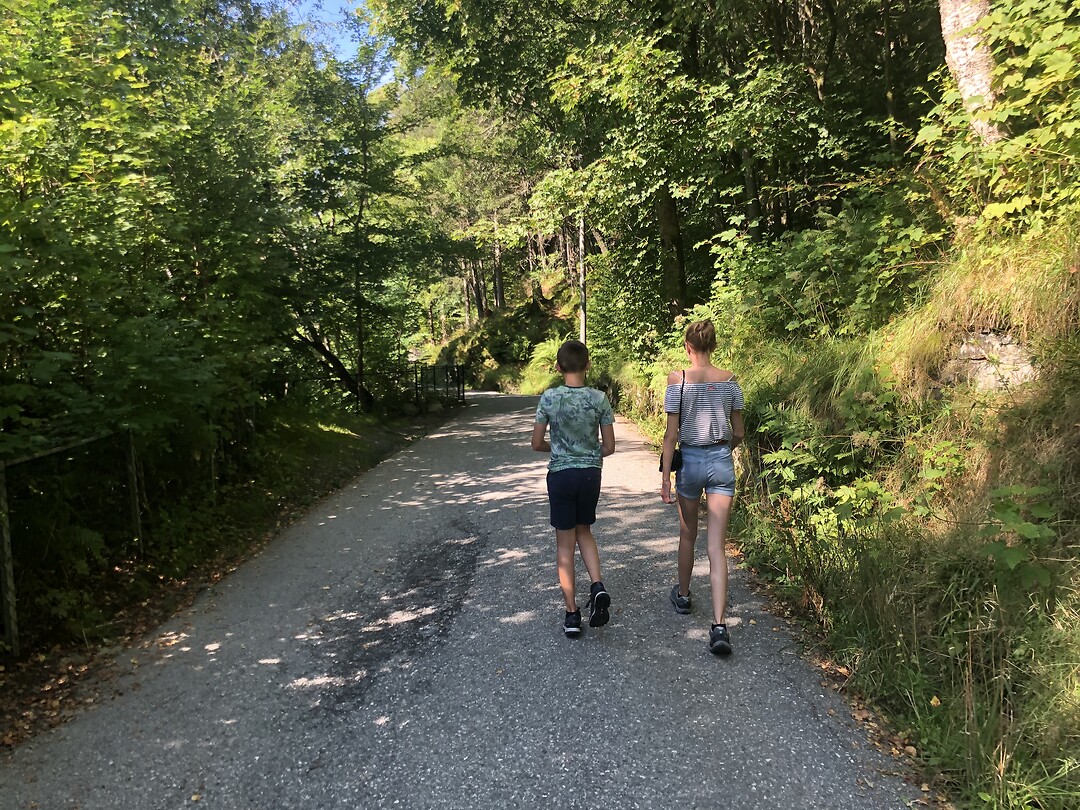 Wandeling naar beneden vanaf de Fløyen-berg