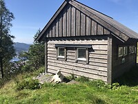 Geit geniet van het ☀️ op de Fløyen-berg
