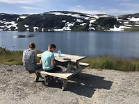 Aurland