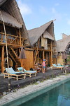 Toraja Bambu