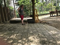 IMG_0734