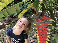 IMG_0578