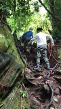 jungle tour Bako N.P.