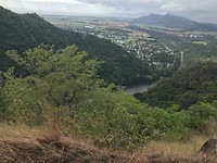IMG_3499