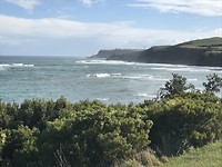 IMG_4415