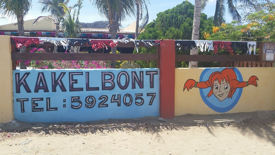 Officieel inwoners van Aruba! | Reisverhaal | One Happy Island Aruba ...