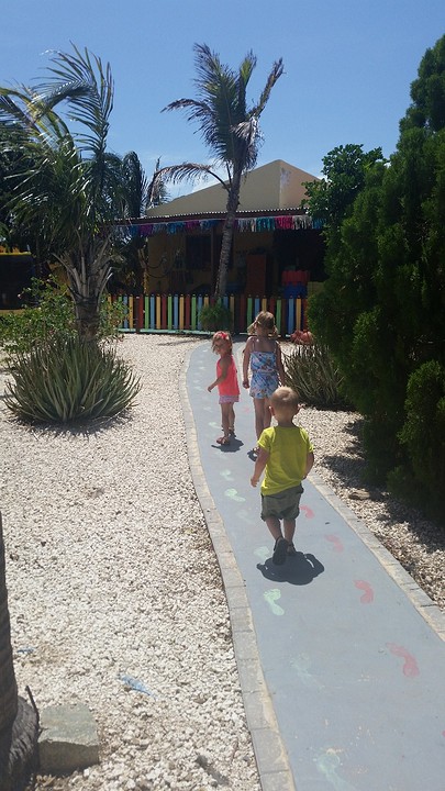 Officieel inwoners van Aruba! | Reisverhaal | One Happy Island Aruba ...