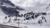 Skigebied
