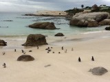 Boulder Beach