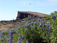 Reykjanesta 2