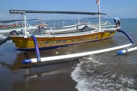 Dolfijnenboot