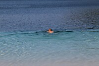 IMG_5799