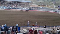 Rodeo Cody