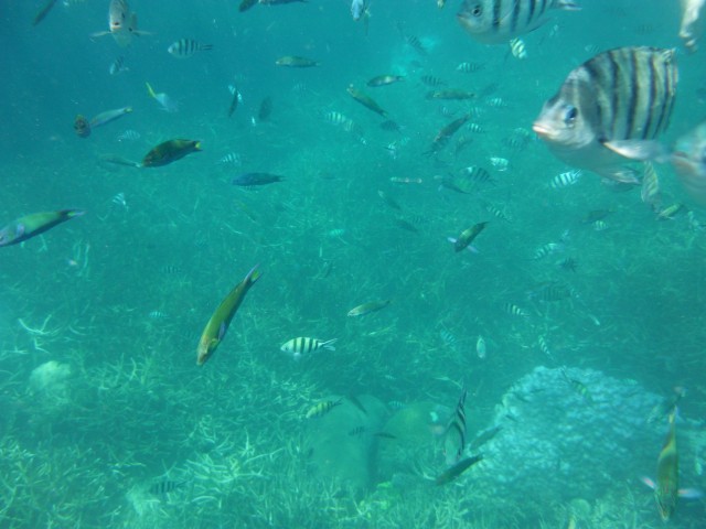 onderwater