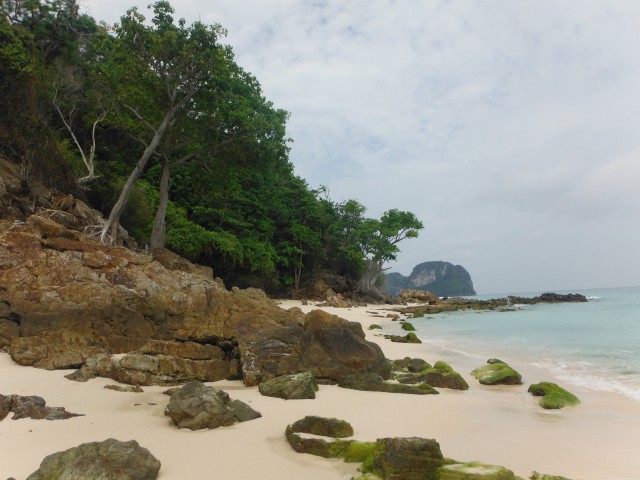 Bamboo island
