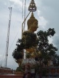 Tijger tempel op de top