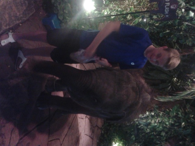 schattig he?