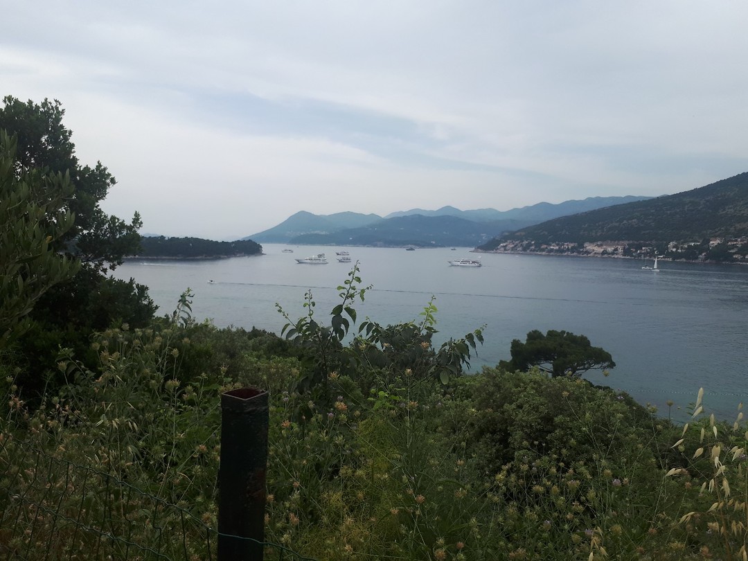 20190622_160051