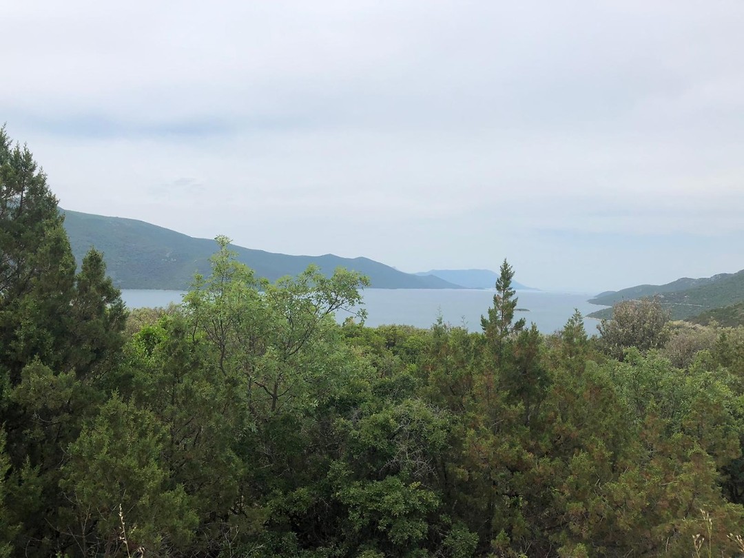 IMG-20190622-WA0001