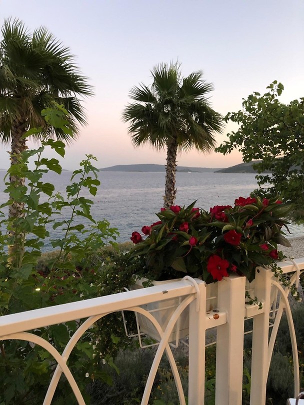 IMG-20190629-WA0040