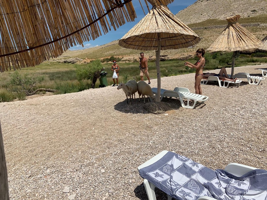 IMG-20190708-WA0022