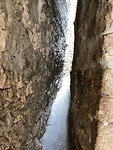 IMG-20190709-WA0005