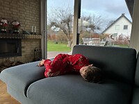 IMG_6962