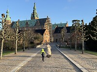 IMG_6974