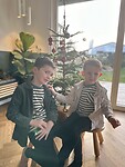 IMG_7661