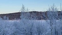IMG_8091