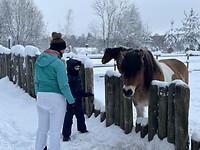 IMG_7770