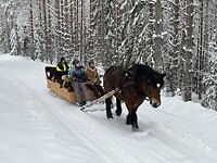IMG_7810