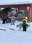IMG_8235