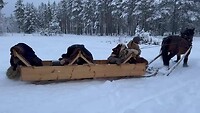 IMG_7797